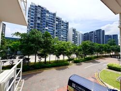Blk 874B Tampines Greenflora (Tampines), HDB 5 Rooms #578253851